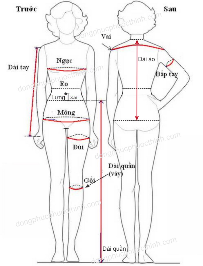 Cách lấy số đo ni