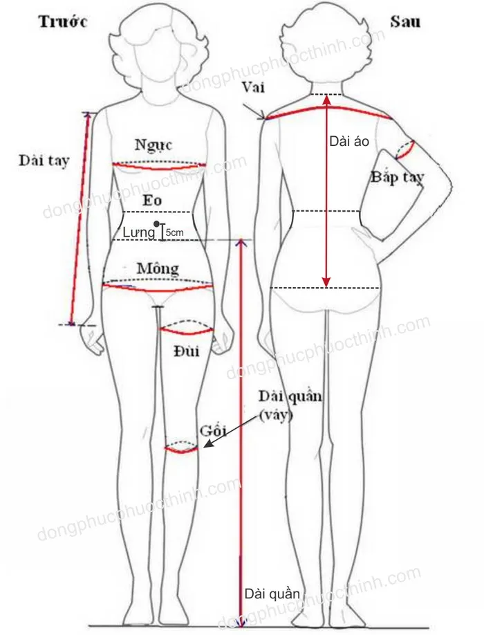 Cách lấy số đo ni