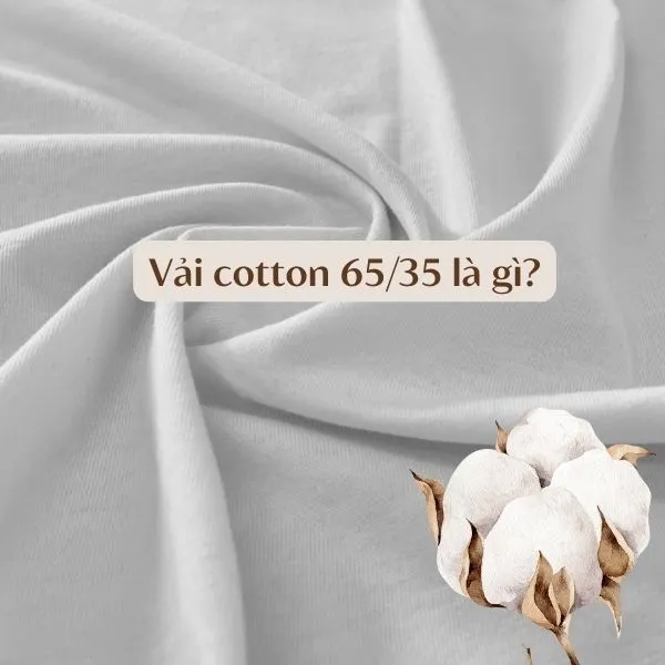 Vải cotton 65/35 Là Gì? Nhận Biết & Ứng Dụng Trong May Đồng Phục Giới thiệu tổng quan về vải cotton 65/35